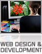 Web Design & Development